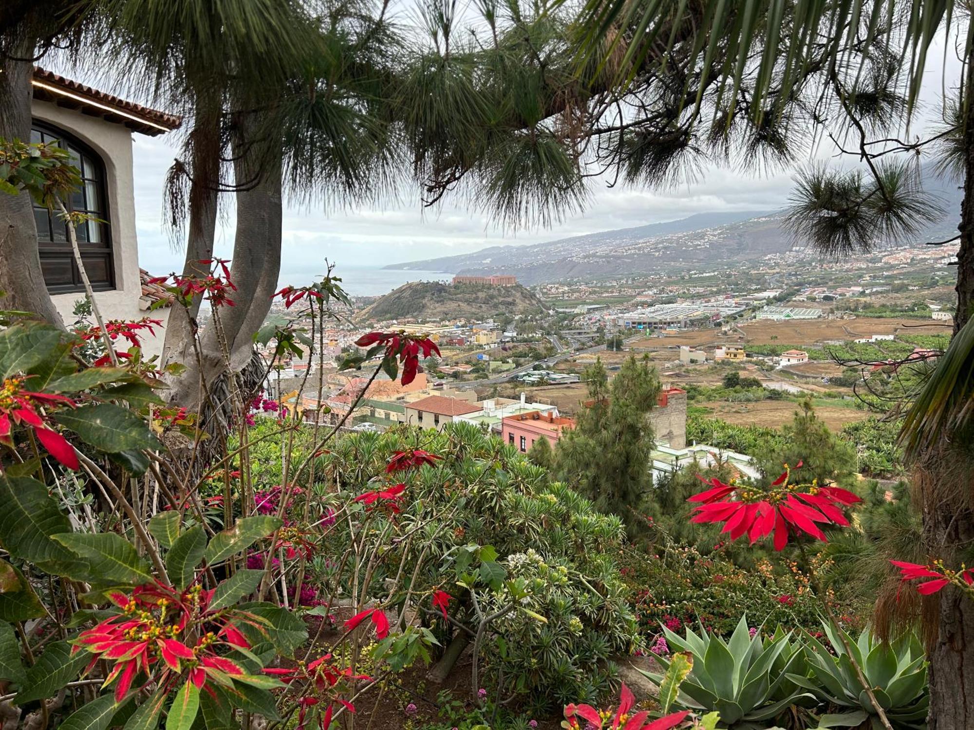 Appartamento Avec Vue Sur La Puerto de la Cruz (Tenerife)